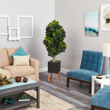 70” Schefflera Artificial Tree in Black Planter with Stand (Real Touch)