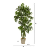71” Areca Palm Artificial Tree in Country White Planter