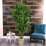 71” Areca Palm Artificial Tree in Country White Planter