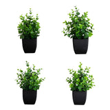 8” Artificial Boxwood in Black Square Pot - Set of 4