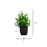 8” Artificial Boxwood in Black Square Pot - Set of 4