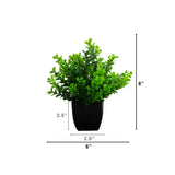 8” Artificial Boxwood Plant in Black Square Pot - Set of 4
