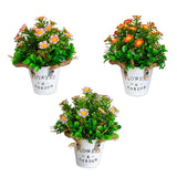 8” Artificial Daisy Plant in Rustic Flowers & Garden Planter -Set of 3