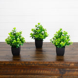 8” Artificial Evergreen Boxwood Plant in Black Square Pot - Set of 3