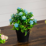 8" Artificial Flowering Arrangement -Set of 3