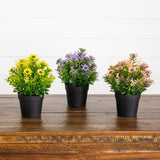 8" Artificial Flowering Daisy in Black Pot - Set of 3