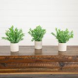 8" Artificial Grass Plant in Decorative Planter - Set of 3