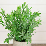 8" Artificial Grass Plant in Decorative Planter - Set of 3