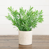 8" Artificial Grass Plant in Decorative Planter - Set of 3