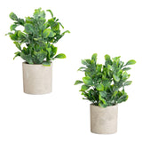8" Artificial Greenery in Decorative Planter - Set of 2