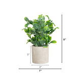 8" Artificial Greenery in Decorative Planter - Set of 2