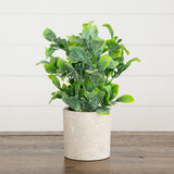 8" Artificial Greenery in Decorative Planter - Set of 2
