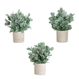 8" Artificial Lambs Ear in Decorative Planter - Set of 3