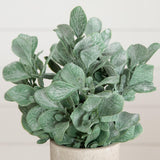 8" Artificial Lambs Ear in Decorative Planter - Set of 3