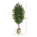 8’ Ficus Artificial Tree with Handmade Natural Cotton Multicolored Woven Planter