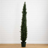 8' Mini Cedar Pine Tree w/4249 tips in 12” Pot (Two Tone Green)