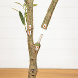 7' Artificial Airy Olive tree
