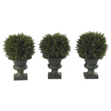 9" Cedar Ball Topiary (Set of 3)"