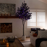 9' Pre-Lit Artificial Halloween Black Eucalyptus Tree with 700 Orange & Purple LED Lights