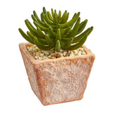 9” Succulent Artificial Plant in Terra Cotta Planter (Set of 2)