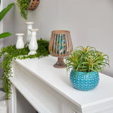 9” Tillandsia Artificial Plant in Blue Planter