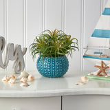 9” Tillandsia Artificial Plant in Blue Planter