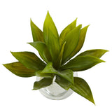 Agave Succulent with Vase (Set of 3)