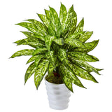 Aglaonema in Swirl Planter