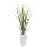Bamboo Grass in White Tower Ceramic