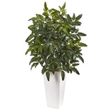 Bracken Fern with White Planter