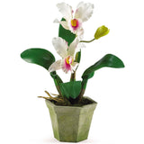 Cattelya Orchid w/Vase (Set of 3)