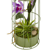 Cattleya Orchid Arrangement in Bird Cage
