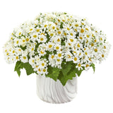 Daisy Artificial Arrangement in Marble Finished Vase