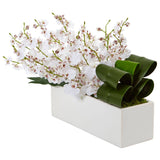 Dancing Lady Orchid in Rectangular Ceramic