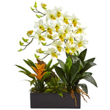 Dendrobium and Bromeliad Arrangement