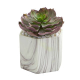 Echeveria Succulent Artificial Plant in Marble Vase