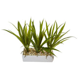 Grass in Rectangular Planter