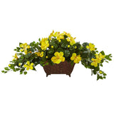 Hibiscus in Metal Planter