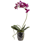 Mini Phal w/Metallic Vase (Set of 2)