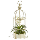 Mini Phalaenopsis Orchid Artificial Arrangement in Bird Cage