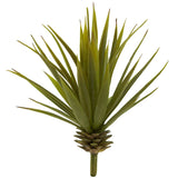 Mini Spiky Agave Succulent Plant (Set of 12)