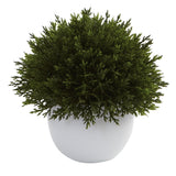 Mixed Cedar Topiary Collection (Set of 3)
