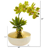 Phalaenopsis Orchid and Agave Artificial Arrangement in Vase