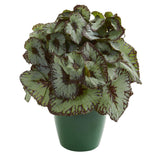 Rex Begonia Artificial Plant in Green Planter (Set of 2)