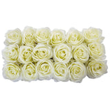 Roses in Rectangular Planter