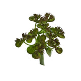 Sedum Succulent Artificial Plant (Set of 12)