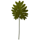 Selloum Philo Single Leaf Stem (Set of 12)