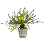 Staghorn Artificial Plant in Weathered Oak Planter
