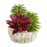 Artificial Succulent Plant in Weathered Oak Planter (Set of 2)