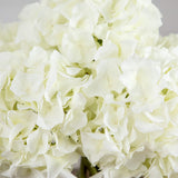 Wedding Collection 14" Artificial Hydrangea Arrangement in Glass Vase